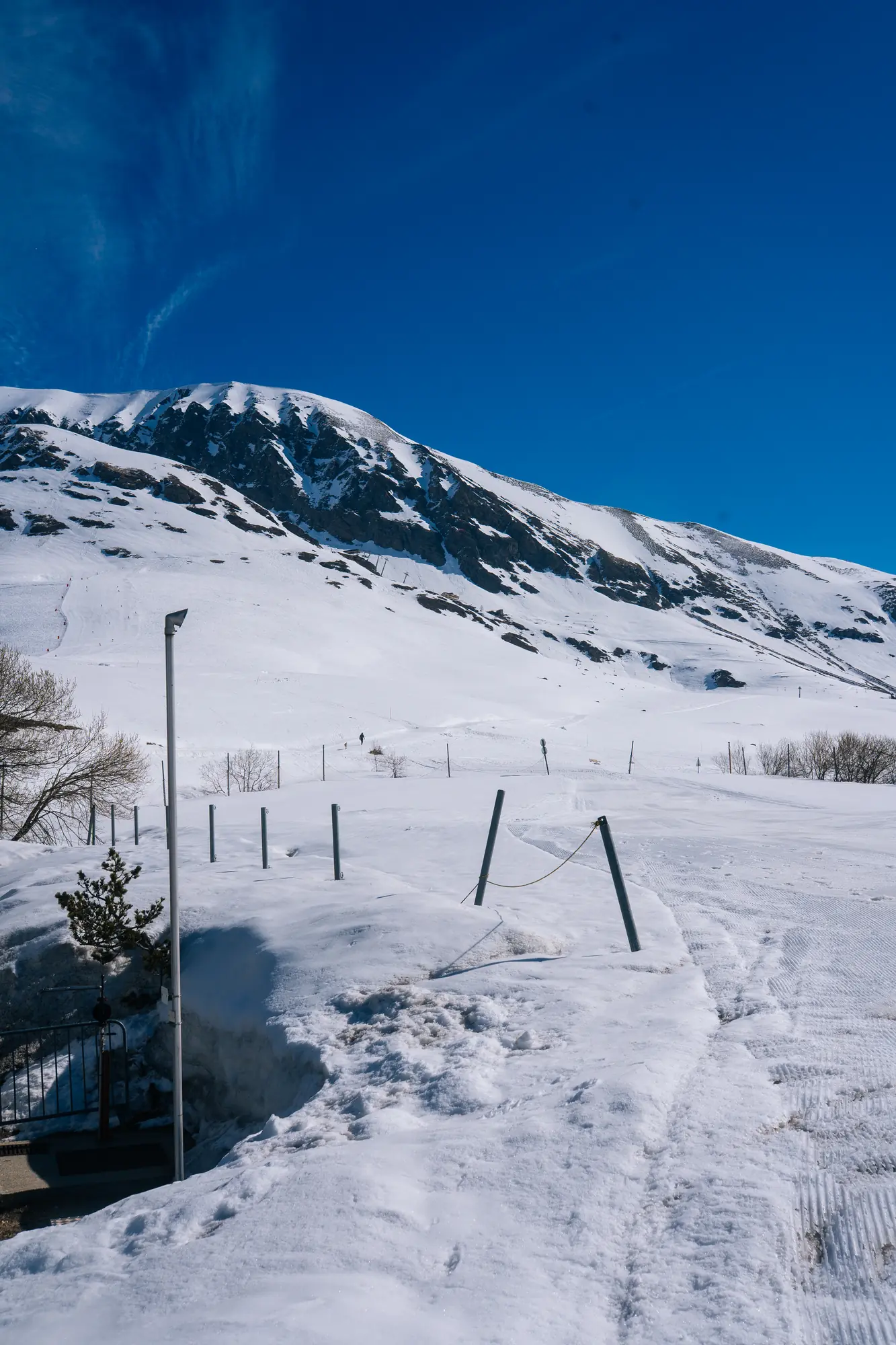 Tomorrowland Winter · 2026 · 25